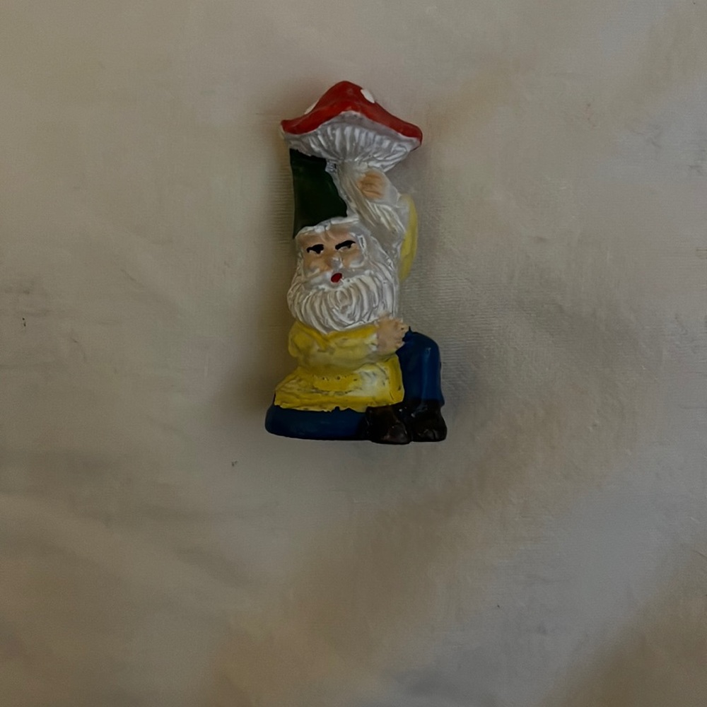 Gnomes and frog, turtle, and bird with a 3D fairy core house